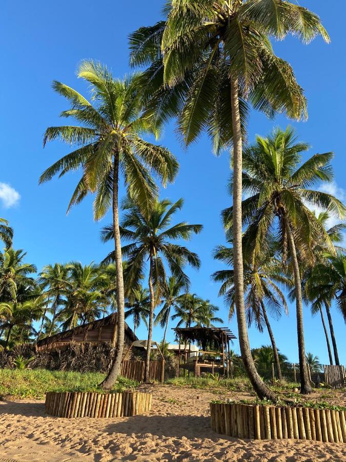 Bahia Surf Camp Hotel Abrantes ภายนอก รูปภาพ