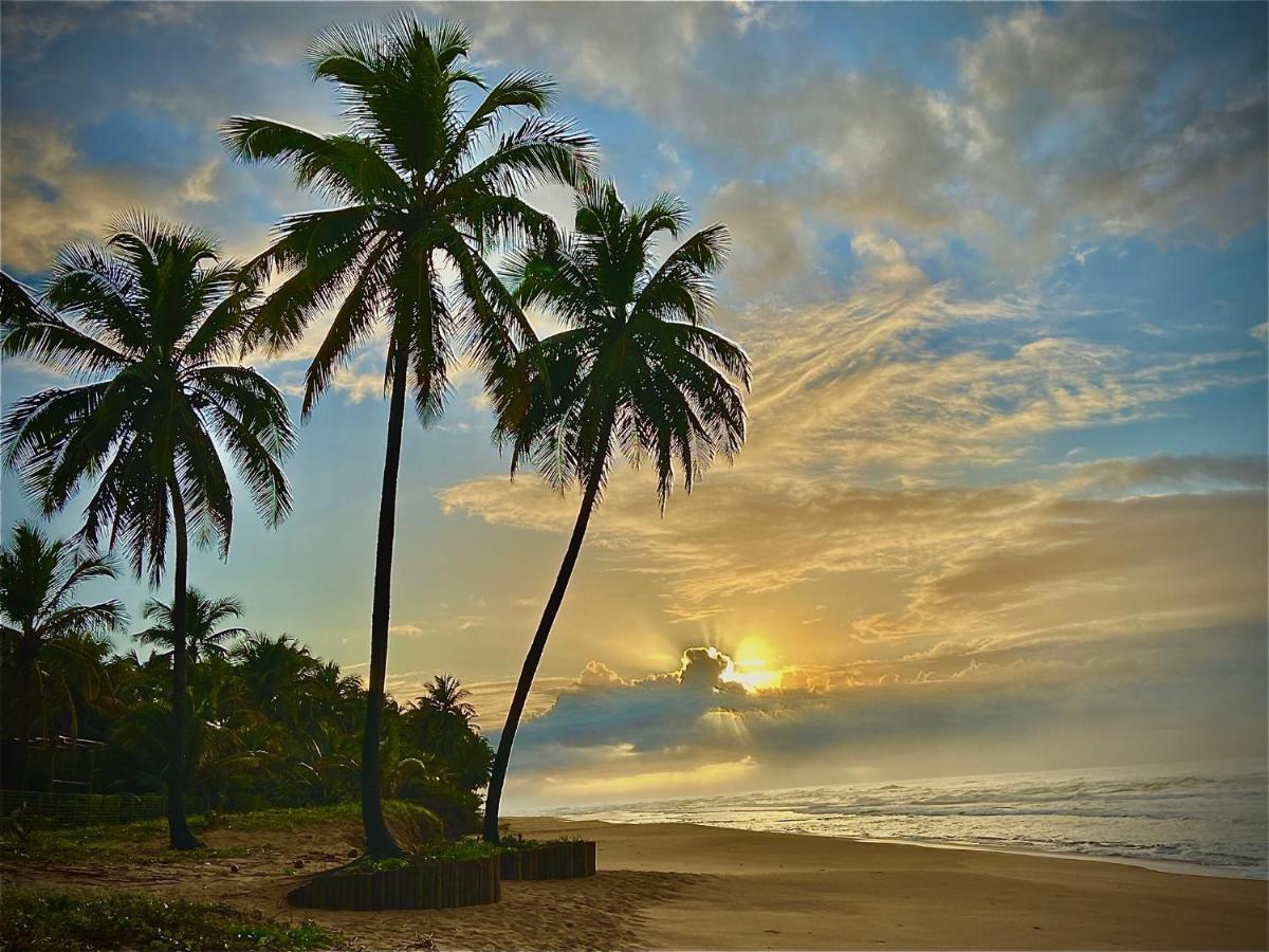 Bahia Surf Camp Hotel Abrantes ภายนอก รูปภาพ