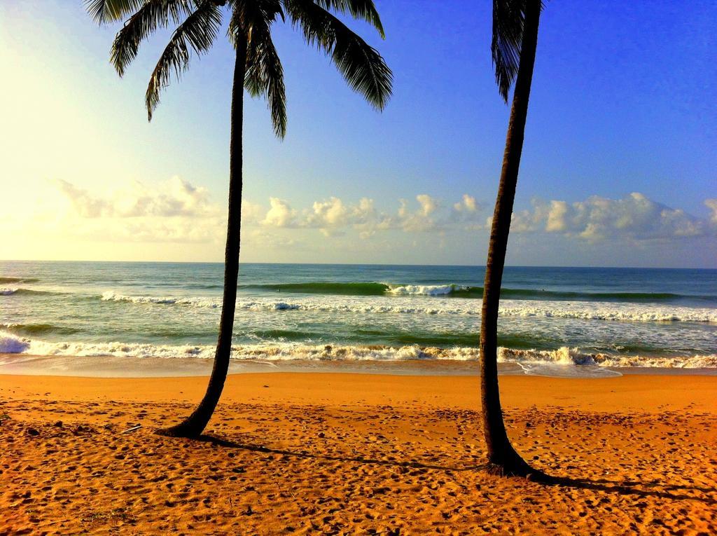 Bahia Surf Camp Hotel Abrantes ภายนอก รูปภาพ
